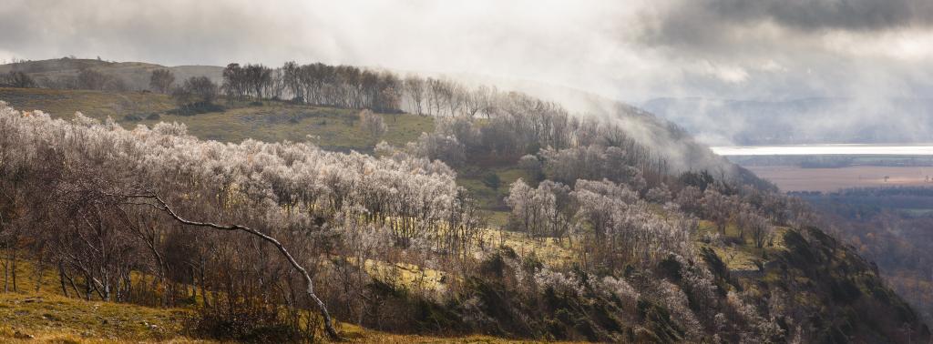 Bright sunshine lights up the raindrop-laden trees on top of Whitbarrow Scar; a limestone escarpment in the south of the Lake District.