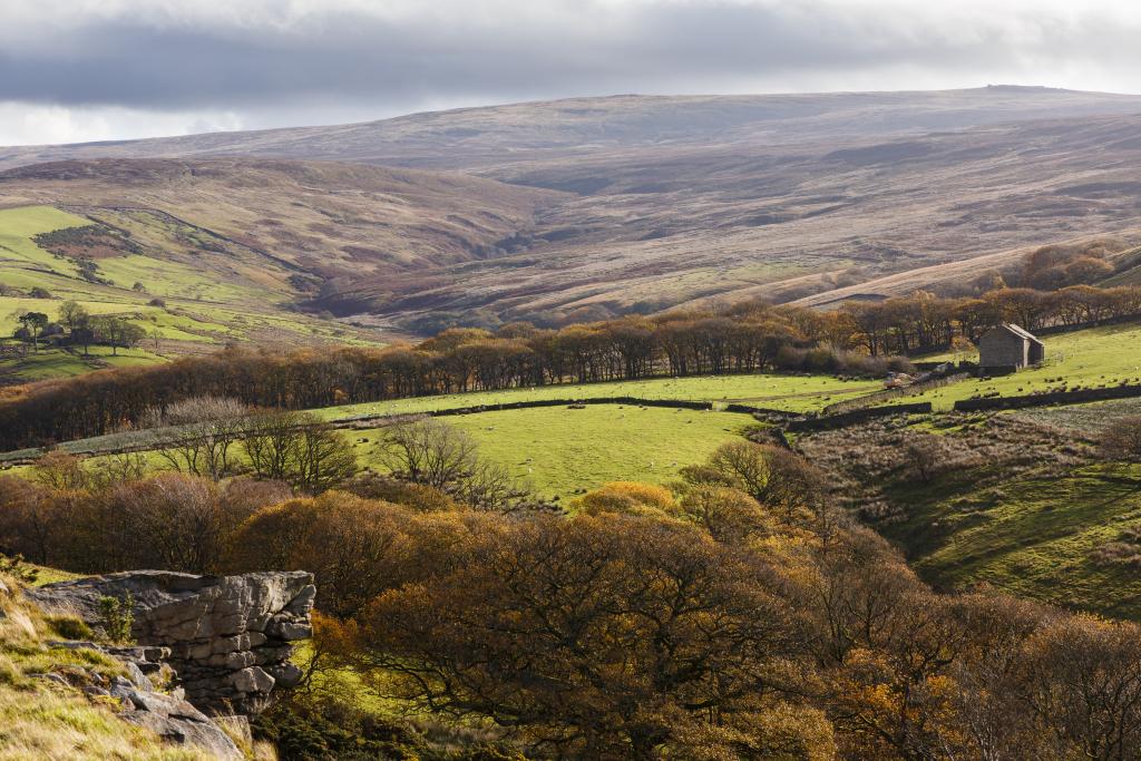 Morning light illuminates the rich autumn colour palette of the Bowland valleys and fells.