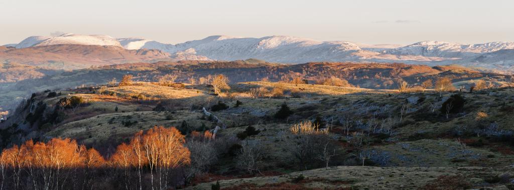 The early morning sun highlights Whitbarrow's Silver Birches and the snow-covered Kentmere fells in the distance